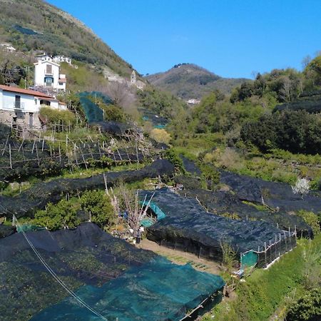 Antica Cartiera Sant'Elia Lägenhet Tramonti Exteriör bild