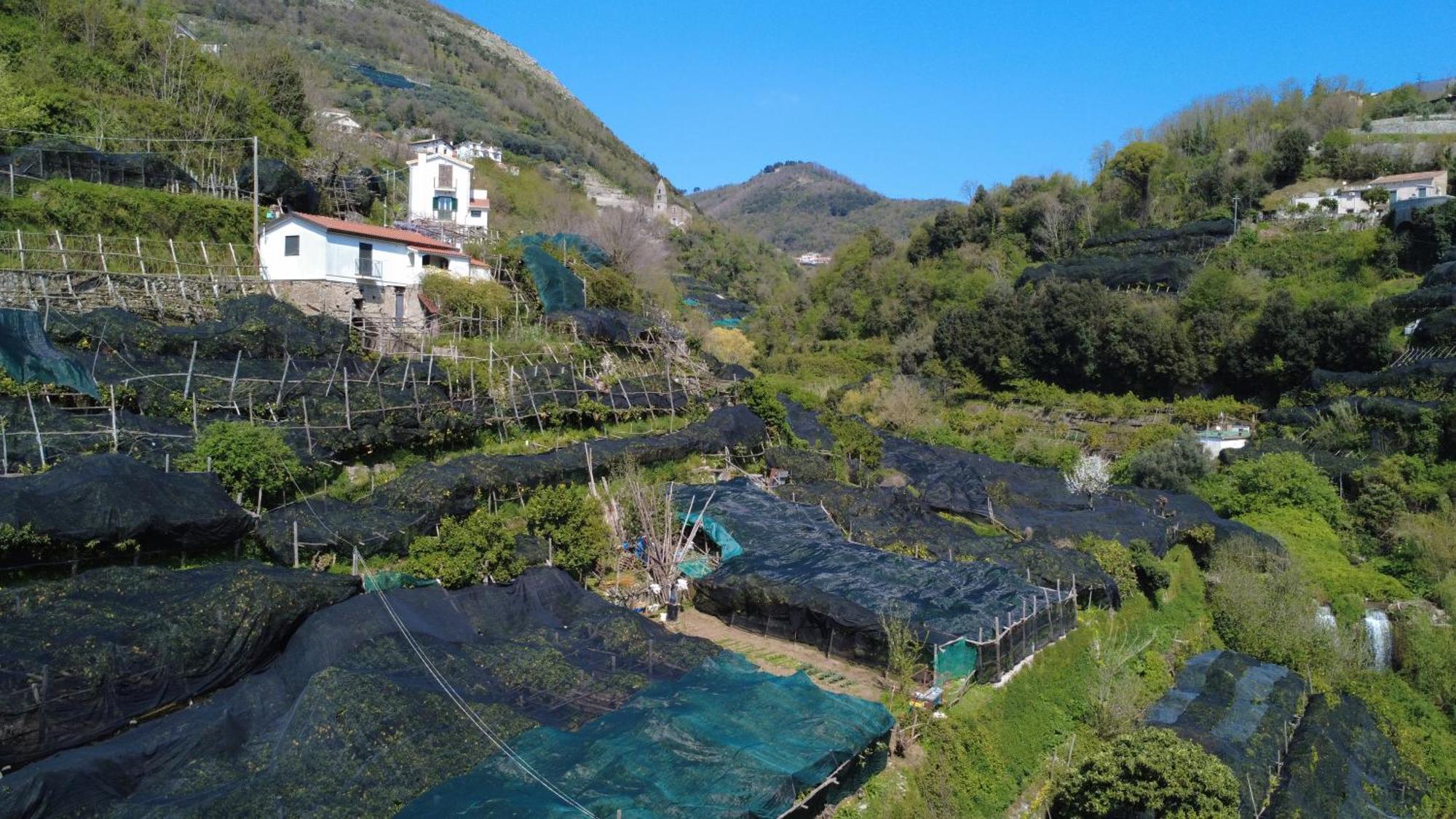 Antica Cartiera Sant'Elia Lägenhet Tramonti Exteriör bild