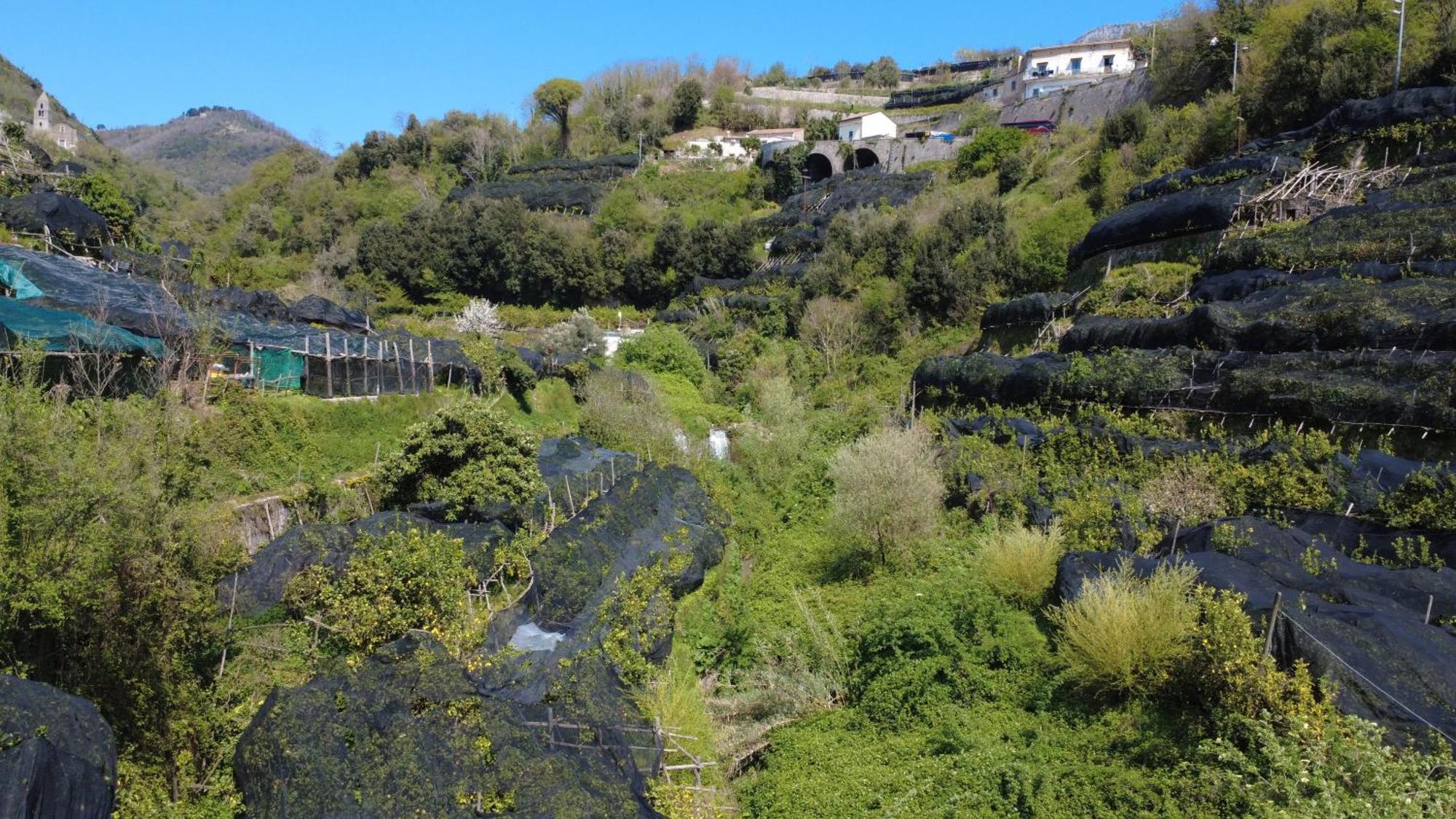 Antica Cartiera Sant'Elia Lägenhet Tramonti Exteriör bild