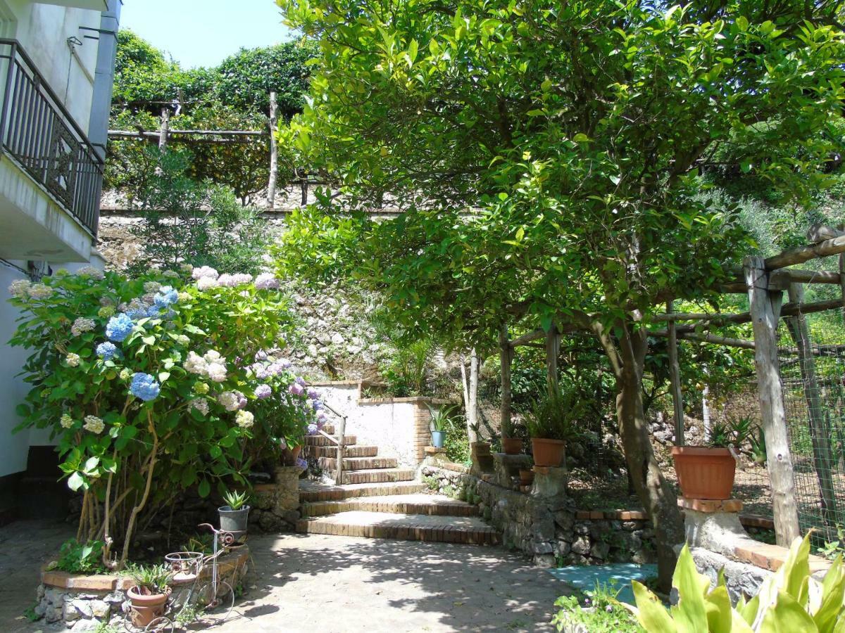 Antica Cartiera Sant'Elia Lägenhet Tramonti Exteriör bild