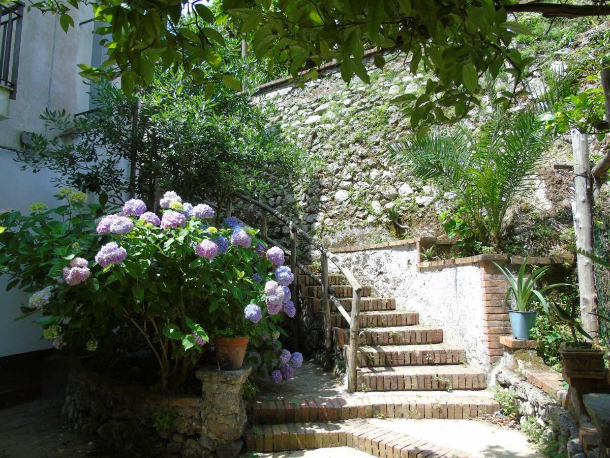Antica Cartiera Sant'Elia Lägenhet Tramonti Exteriör bild